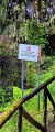Plants: image 60 Of 208 Thumb